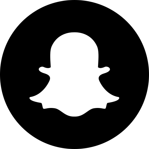 وسائط