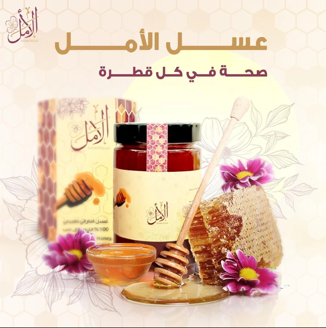 Content Media