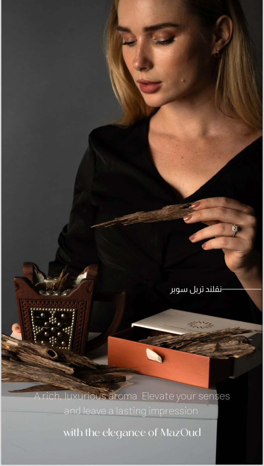 وسائط